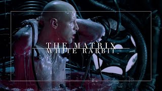 The Matrix | 25th Anniversary
