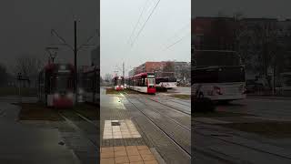 Cottbus, Germany, Tram POV #tram #urbantransit