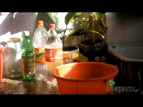 დევნილები ფაიფურის დასახლებაში