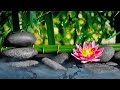 Bamboo Flute Music, 528Hz, Cleanse Negative Energy, Zen Meditation, Positive Energy Vibration