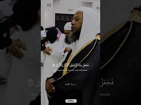 أيحسب الإنسان أن يترك سدى سورة القيامة محمد أيوب 