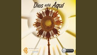 Video thumbnail of "Dei Verbum - El Magnificat (En Vivo)"