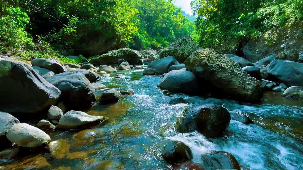 Deep Relaxation River Sounds – 10 Hours for Anxiety & Stress Recovery Stress & Tension Release