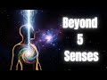 They Lied to You: You Don't Have 5 Senses, You Have 15