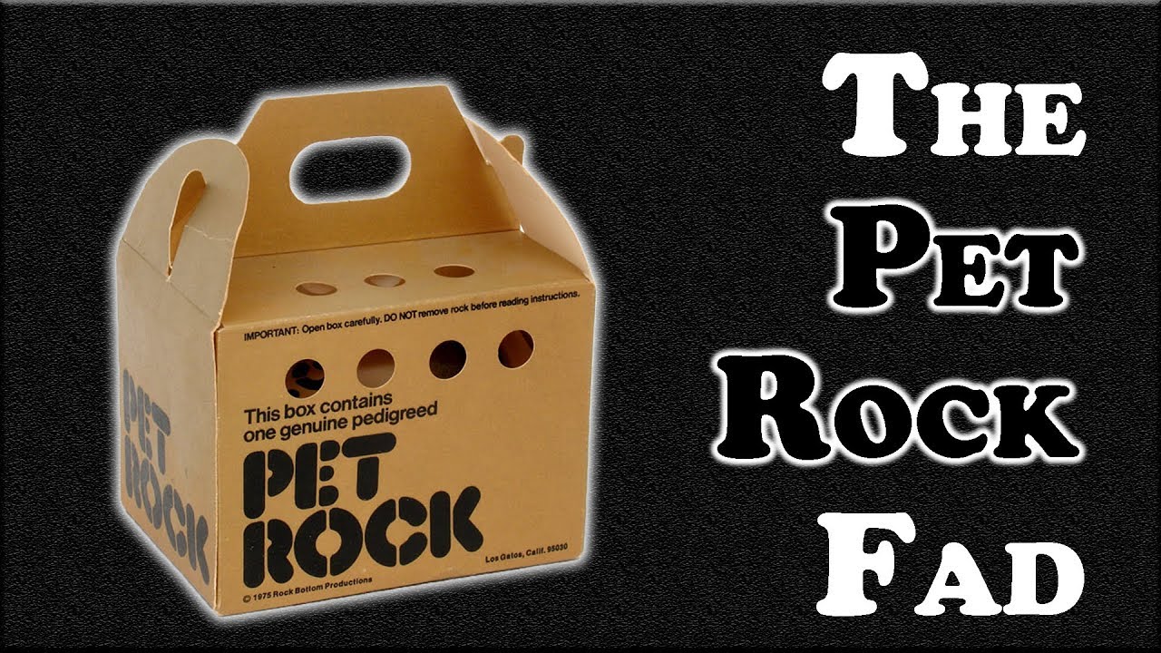 The Pet Rock Fad - As Crazy as It Sounds