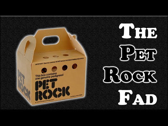 Pet Rock