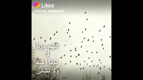 حالات واتس اب  بصوت القارئ وديع اليمني