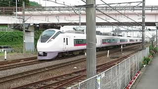 常磐線　E657系K19編成　74M　特急ときわ74号 品川 行　水戸～勝田　通過　2023.06.11