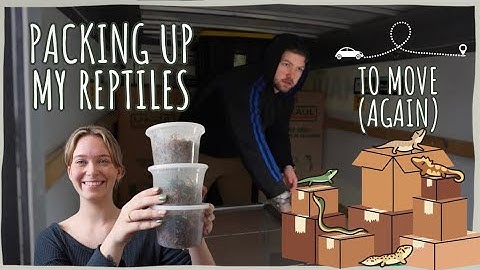 MOVING STATES WITH 8 REPTILES 🚗 Our Moving Vlog + Process Moving With Reptiles (again)