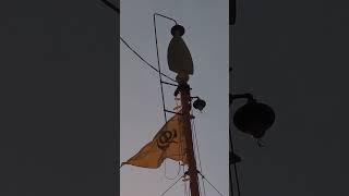 Takhat Sachkhand Sri Hazur Sahib,Sharda Nagar, Hyder Bagh, Dashmesh Nagar, Harsh Nagar, Nanded, M H