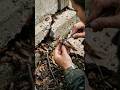 The Secret Underground World of Cockroaches#CockroachPOV#MicroCamera#WildLifeMicroCam