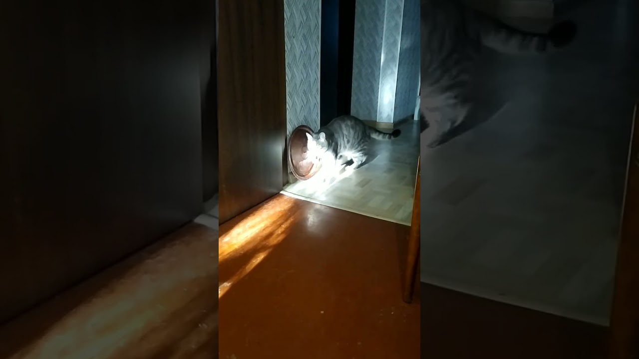 Who is enchanted in this piece of paper? Кто  заколдован в этом листочке? 