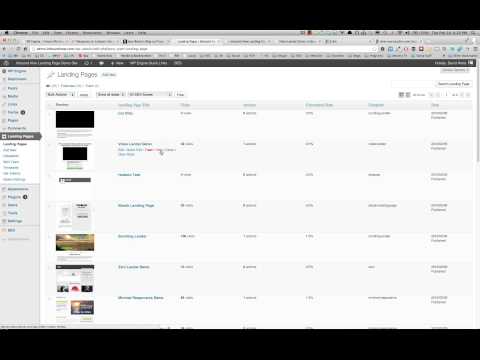 Fixing 404 error on WordPress Landing Pages