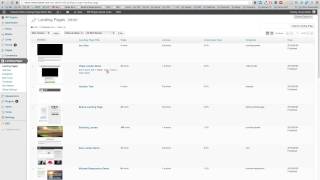 Fixing 404 error on WordPress Landing Pages