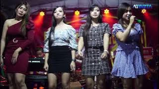 Jambu Alas All Artis - Kalimba Music - C E Audio - Live Bulu Sukoharjo