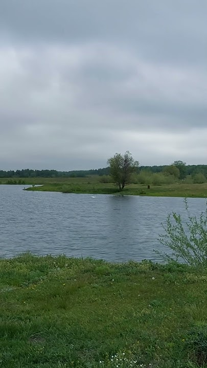 Водоём в #Уразово . - YouTube