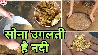 सैकड़ों साल से Gold उगल रही है Hindustan की ये River, दिनभर खोजते हैं गांववाले