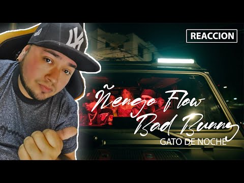 REACCION a Ñengo Flow Ft Bad Bunny - GATO DE NOCHE
