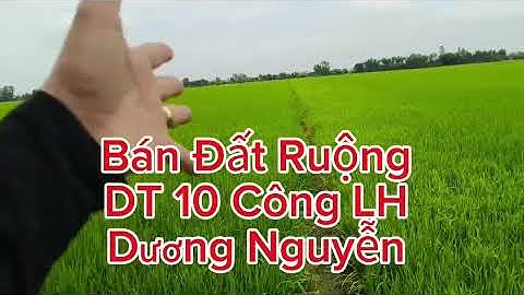 Nhà Đất Bán Đất Ruộng Dt 10 Công Giá 160tr Công/1000m2 Tân Thạnh Long An Cũ Tây Ninh Mới 