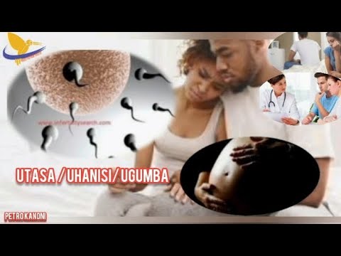 NINI SABABU YA UTASA UGUMBA UHANISI DALILI NA TIBA ZAKE PIA 