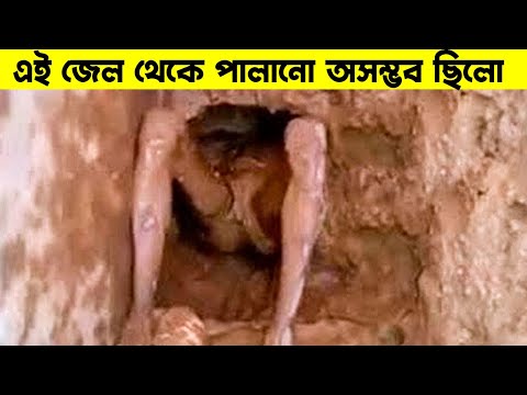 ভিডিও: রাশিয়ান বেয়নেট