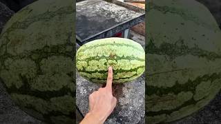 👺😛beautiful balloon 🎈 Popping if it rolls from tall building   balloon blast 🤯#ytshorts #satisfying