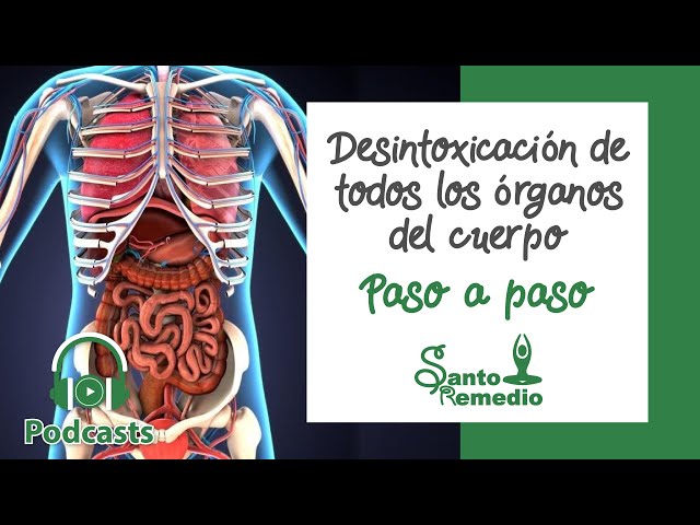 Desintoxicación de todos los órganos del cuerpo paso a paso - Santo Remedio Panamá.