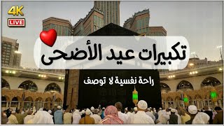 تكبيرات عيد الأضحى المبارك 2026 بصوت جميل 🌷💛 لنجعلها تملأ الدنيا الله أكبر الله أكبر
