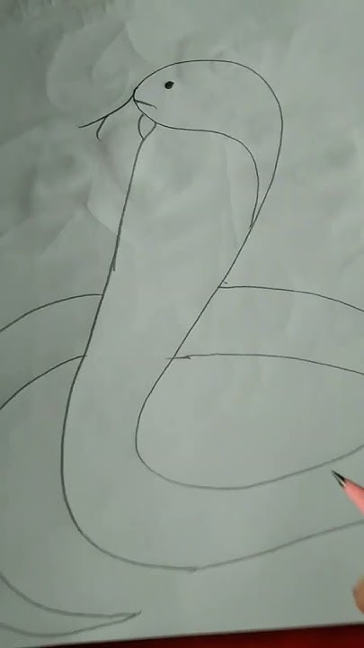 Python snake art with pencil. How to draw python snake art. # ...