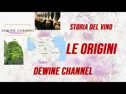 Video: Il Regno Minuscolo Ma Affascinante Del Vino Irlandese