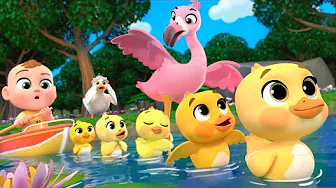 Cinco Patitos (Aprende los Nombres de Aves) + Más Lalafun Canciones Infantiles y Música para Chicos