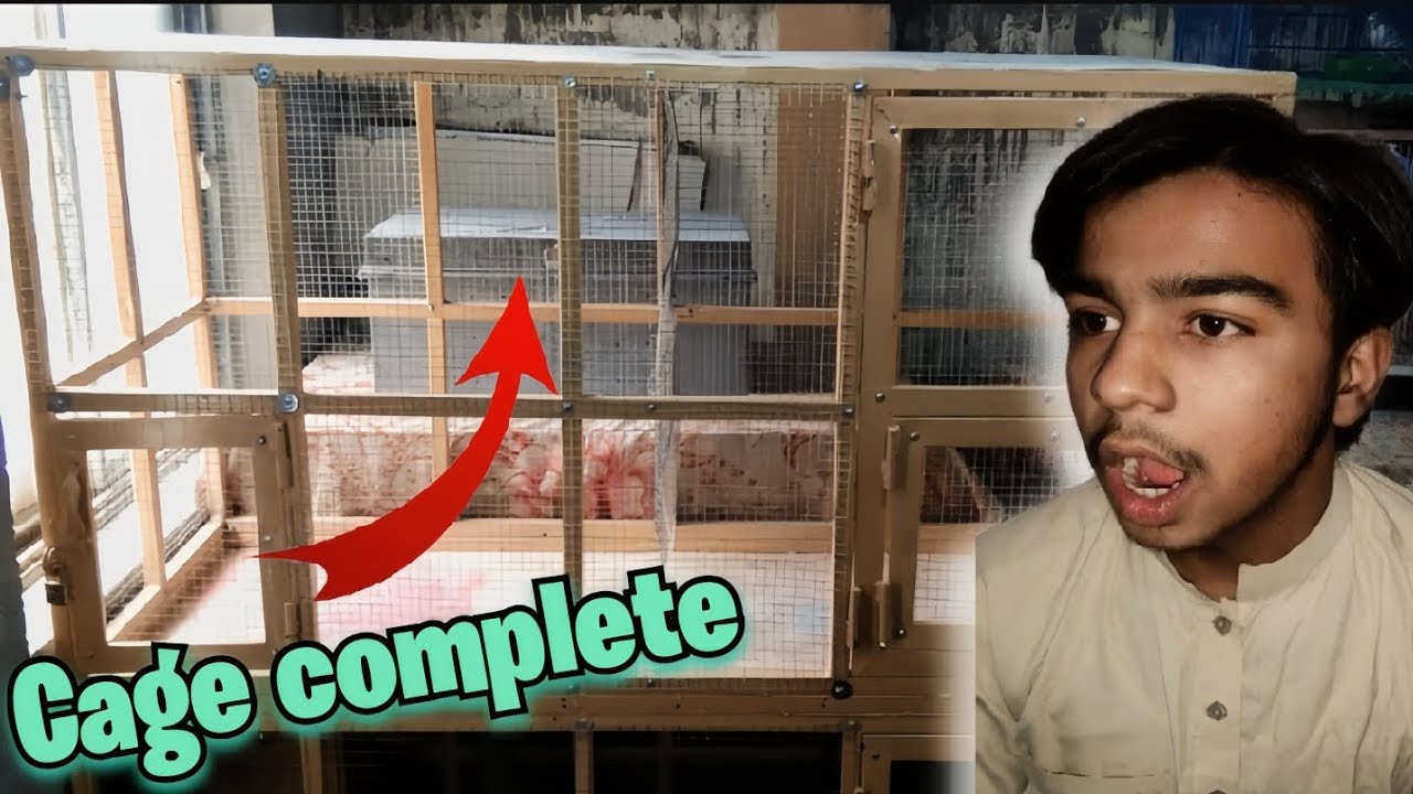 Finally birds cage complete 🥰 l barish ma vlog 😱 l pets vlog l vlog l