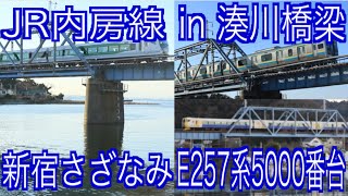 JR内房線にE257系5000番台新宿さざなみ号がやってきた　in湊川橋梁～