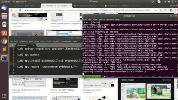 How to Install Avidemux Video Editor for Linux (Ubuntu 18.04)