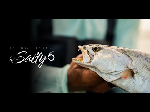 New Waters Same Instinct | This is Salty 6