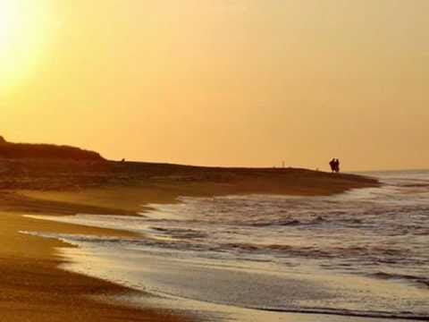 Video: ¿Dónde está la playa Bells?