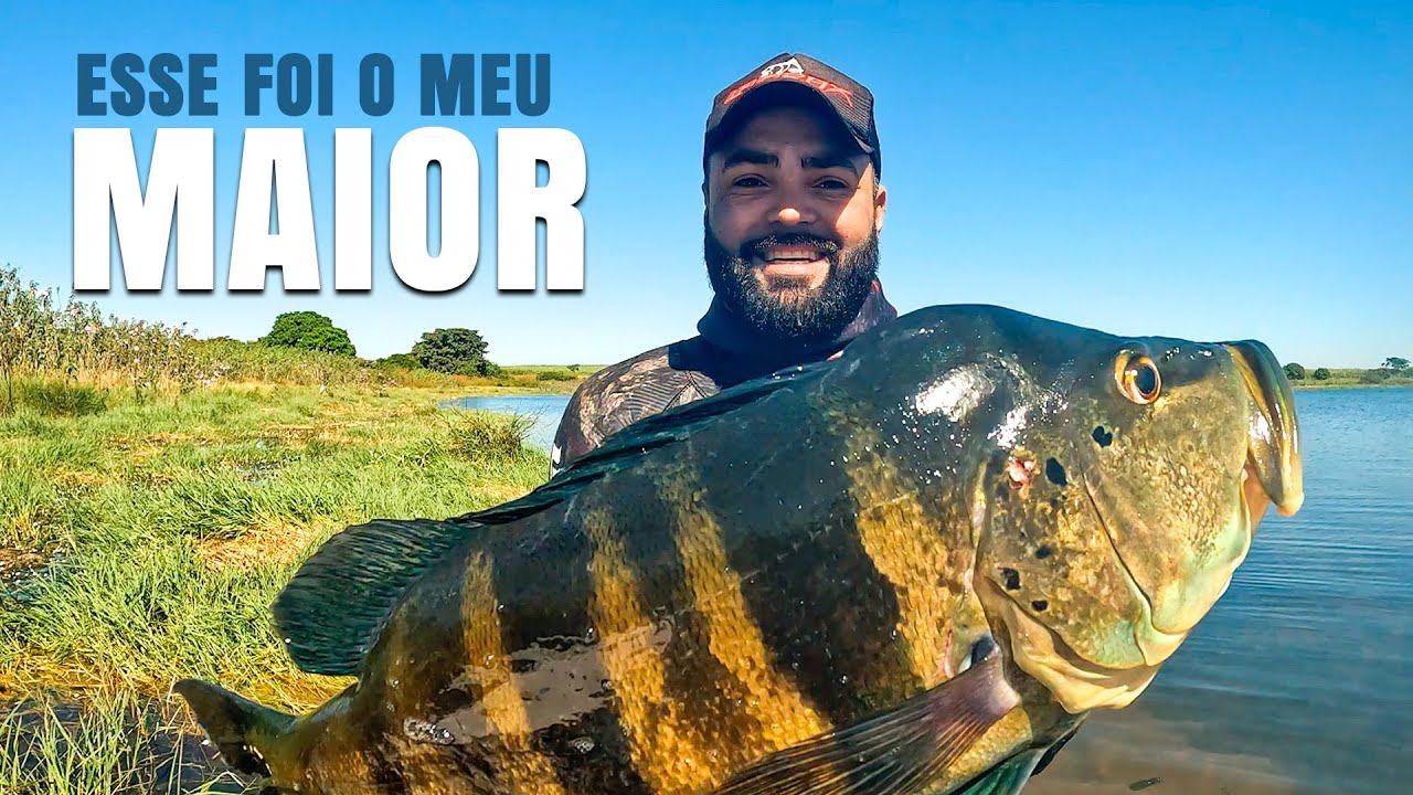 O maior Túcunaré da Temporada - Pesca Sub - ATASUB