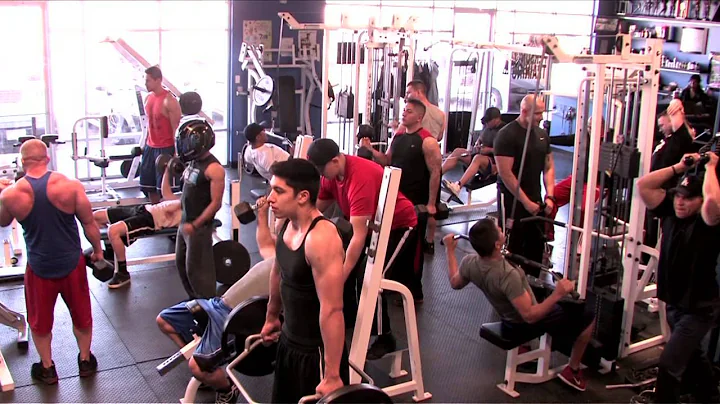 SHO-OFFZ FITNESS & NUTRITION HARLEM SHAKE PART 2 MUILTI CAM ANGLES