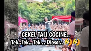 Download Lagu CEKEL TALI GOCINE... TEK. TEK. TEK. DLOSORR. 🤣🤣 MP3