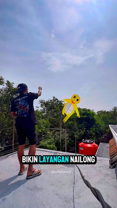 Making a NAILONG kite from STICKS #kite #nailong #creative #kite #viralkite