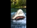 Jaws ride part three