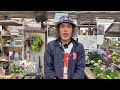 【重大発表】花金ライブについて
