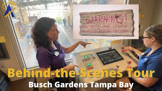 Insider Tour of Cobra's Curse Roller Coaster at Busch Gardens Tampa Bay