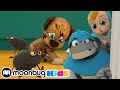 Problema delle PULCI!!! - Arpo il Super Robot per i Bambini | Moonbug Kids - Cartoni Animati