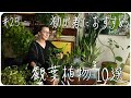 #25 初心者におすすめ 観葉植物10選 〜10 Easy Houseplants for Beginners〜