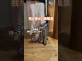 【お喋り猫】我が家のご飯風景 #保護猫 #しゃべる猫 #喋る猫