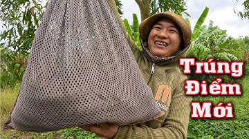 Trở Lại Vùng Ven Sài Gòn Để Săn RẮN Lớn # CSBR # 434