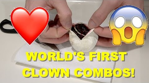 Ball Python Egg Cutting! World First Ball Python Combos! But…🥲