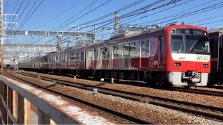 京急線87H「三浦海岸河津桜」ラッピング広告特急三崎口行き1000形201〜208編成が金沢八景駅へと走行！京急線99S快速西馬込行き1500形1585、1588編成！【令和6年1月29日月曜日】