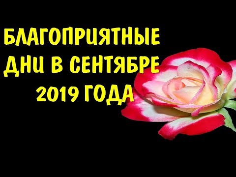 Благоприятные дни, счастливые дни в сентябре 2019 года. фаза луны. осеннее равноденствие сентябрь